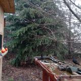 photo 2021-12-16 09-16-09