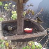 photo 2019-12-06 11-39-32