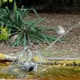 photo 2021-04-17 09-22-58 baratposzata