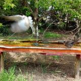 photo 2021-04-29 12-03-03