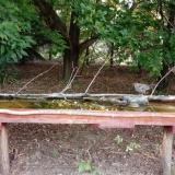 photo 2021-08-12 05-50-04