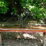 photo 2021-05-15 11-00-16