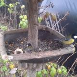 photo 2019-12-09 12-26-32