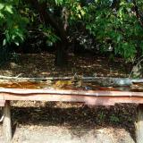 photo 2021-10-02 12-39-51