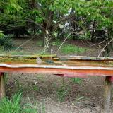 photo 2021-04-29 09-41-58