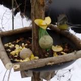 photo 2019-01-12 12-24-12