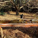 photo 2021-10-27 09-29-06