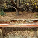 photo 2021-10-22 14-04-40