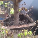 photo 2019-12-12 11-33-19