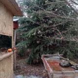 photo 2021-12-27 14-08-34