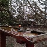 photo 2022-03-07 17-23-15