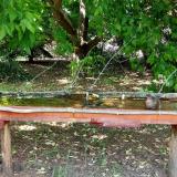 photo 2021-05-21 15-37-25