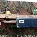 photo 2021-02-08 12-43-30