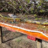 photo 2021-04-08 16-29-38