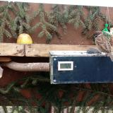 photo 2021-02-06 10-27-50