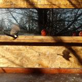 photo 2022-01-15 09-43-19