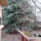 photo 2021-12-12 09-17-58