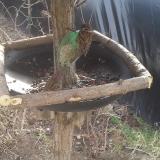 photo 2019-02-13 11-03-19