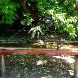 photo 2021-05-21 10-29-23