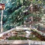 photo 2023-10-06 11-13-13