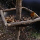 photo 2019-01-04 14-14-36