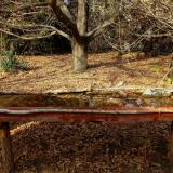 photo 2021-10-26 14-33-19