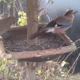 photo 2019-12-19 09-19-33