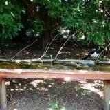 photo 2021-08-09 11-35-47