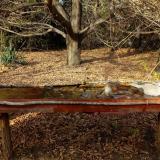 photo 2021-10-26 14-36-07