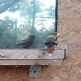 photo 2023-10-25 16-20-36 meggyvago