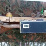 photo 2021-02-13 08-26-50