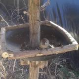 photo 2019-03-06 11-50-32