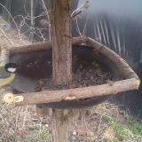 photo 2019-03-13 14-48-18