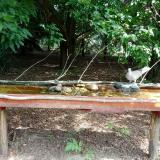 photo 2021-07-26 10-45-07