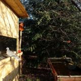 photo 2021-12-31 09-03-50