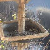 photo 2019-12-26 13-14-44