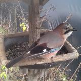 photo 2019-12-25 12-19-17