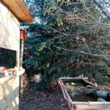 photo 2021-12-18 08-39-37