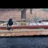 photo 2021-11-22 08-13-38