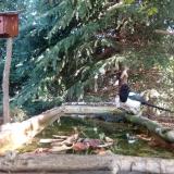 photo 2023-10-02 09-54-04