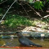 photo 2021-05-08 11-15-07 rigo