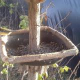 photo 2019-12-16 14-14-28