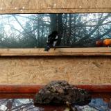 photo 2022-01-30 09-38-08