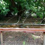 photo 2021-07-04 11-17-58