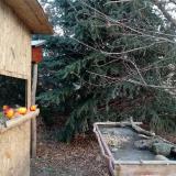 photo 2021-12-22 09-40-55