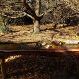 photo 2021-10-25 14-35-50