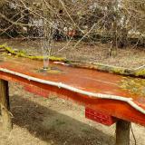 photo 2021-03-30 13-26-30