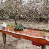 photo 2021-03-23 08-08-23