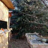 photo 2021-12-23 08-42-12