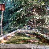 photo 2023-10-03 10-46-02